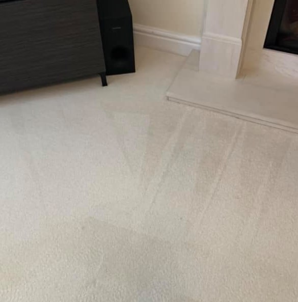 Local Carpet Cleaning Experts