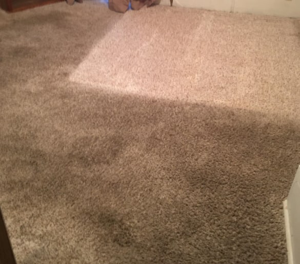 Our Carpet Cleaning Process